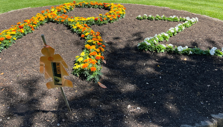 Flower bed with alphabets R and Z