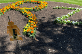 Flower bed with alphabets R and Z