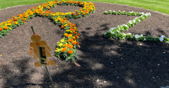 Flower bed with alphabets R and Z